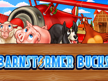 Barnstormer Bucks