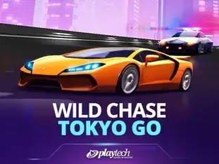 Wild Chase_ Tokyo Go game thumbnail